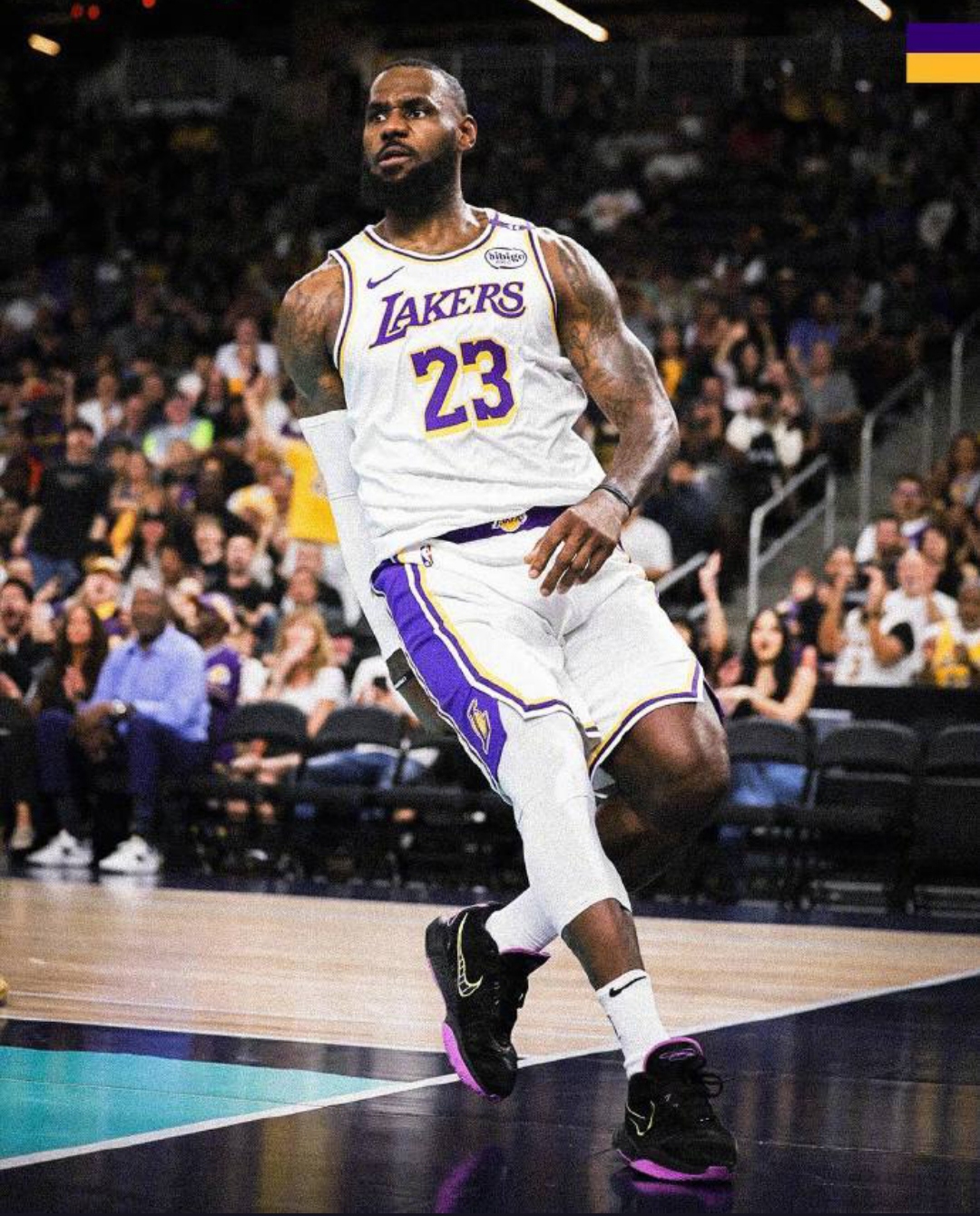 猛龙横扫太阳,詹姆斯点燃赛场 猛龙横扫太阳,詹姆斯点燃赛场